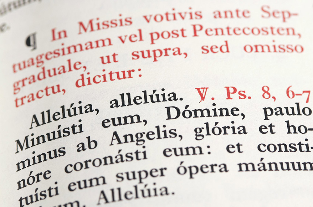 the-traditional-latin-mass-is-not-the-problem-with-traditionalist